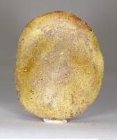 Photo Texture of Mushroom 0021